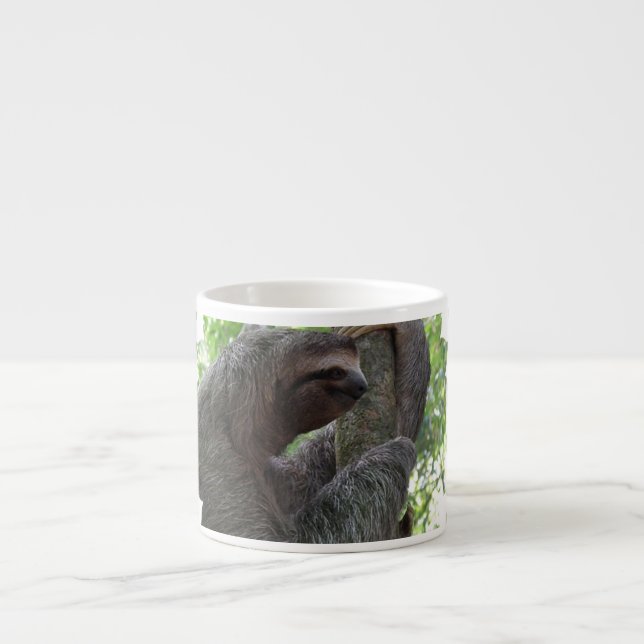 Expresso Tasse de spécialité de paresse d'escalade d'arbre (Devant)