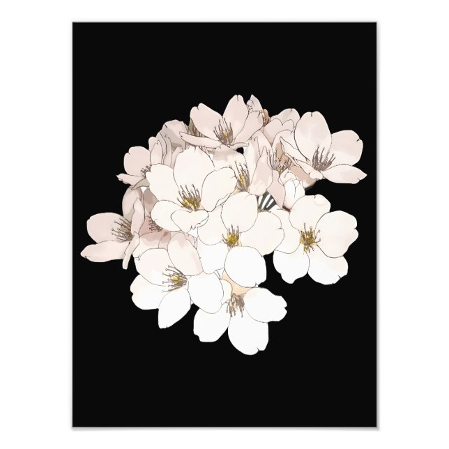 Exquisite Cherry Blossom Art Print (Front)