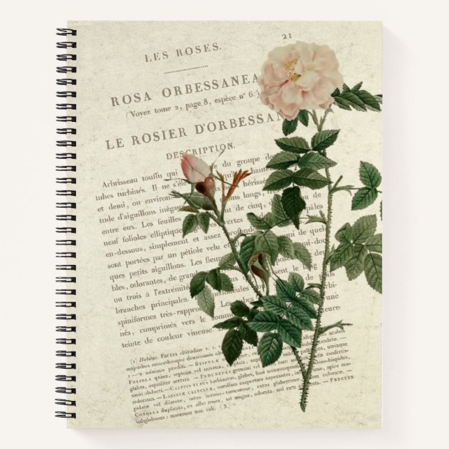 Exquisite Rosa Orbessanea Vintage Notebook (Front)