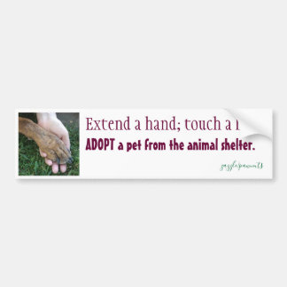 Extend a hand; touch a life bumper sticker