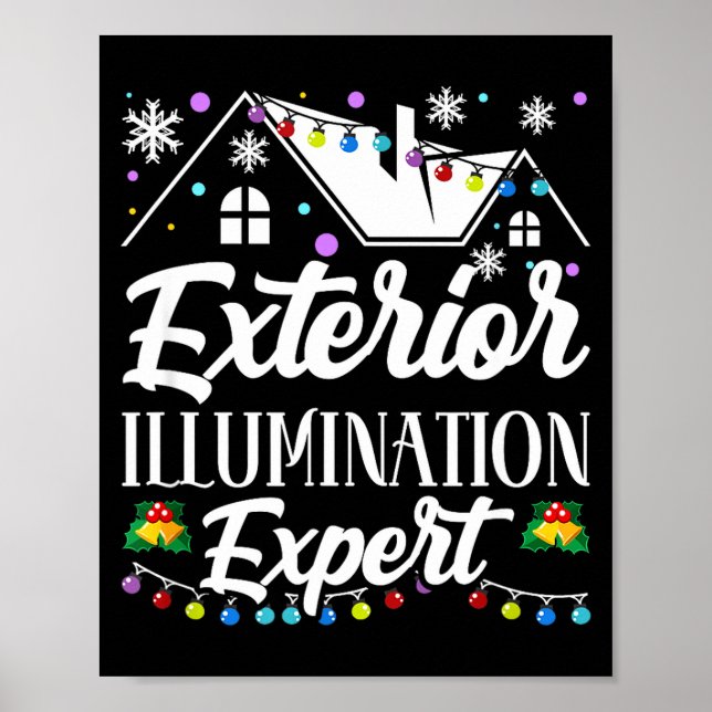 Exterior Illumination Expert Funny Christmas Decor (Front)
