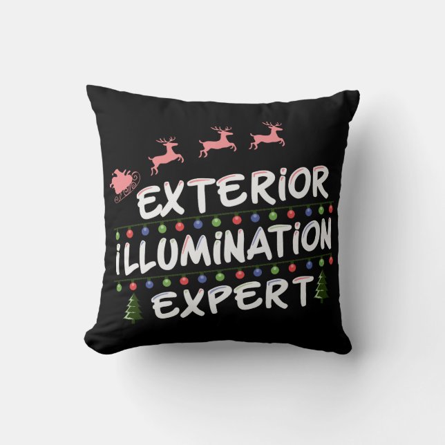 Exterior Illumination Expert Funny Throw Pillow (Front)
