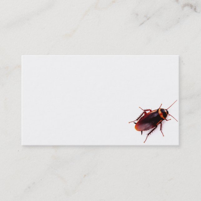 Exterminator Business Cards (Cockroach) (Front)