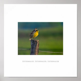 Externaliser, Externaliser, Externaliser Poster