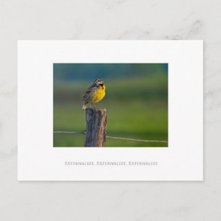 Externalize, Externalize, Externalize Postcard