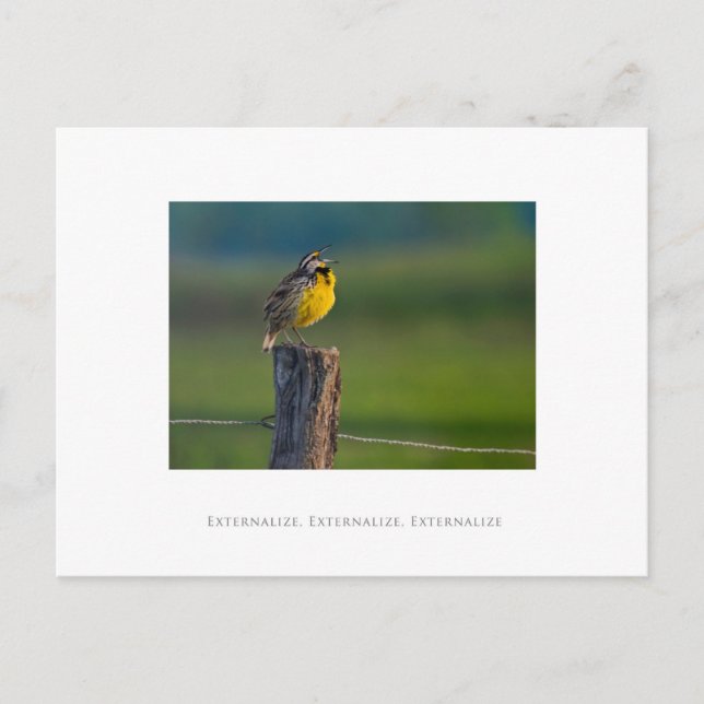 Externalize, Externalize, Externalize Postcard (Front)