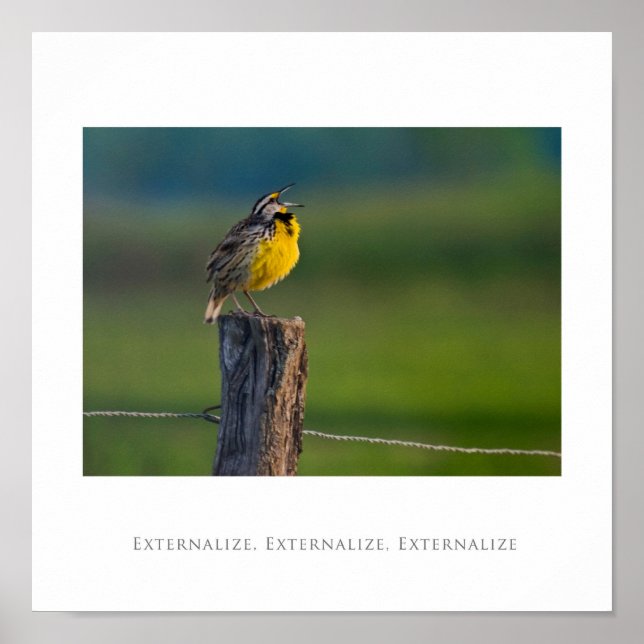 Externalize, Externalize, Externalize Poster (Front)