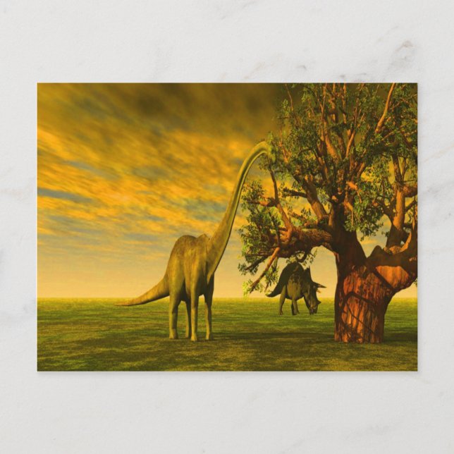 extinct brontosaurus dinosaur postcard (Front)