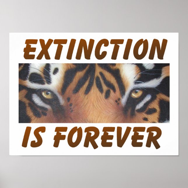 Extinction is forever poster (Front)
