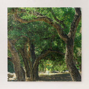 Extra Difficult Disk Golf Forest Puzzle