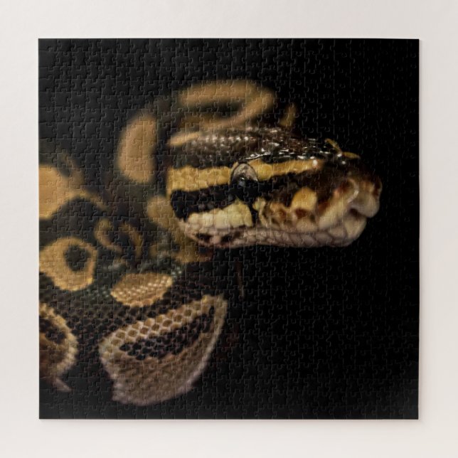 Extra Difficult Snake Puzzle (Vertical)