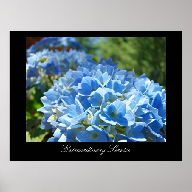 Extraordinary Service Office Fine Art Prints Blue (Front)