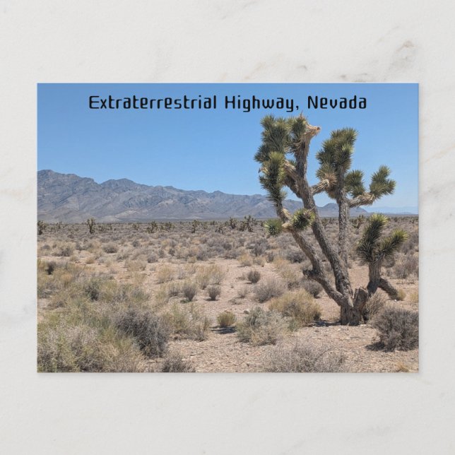 Extraterrestrial Highway, Nevada desert Postcard (Front)