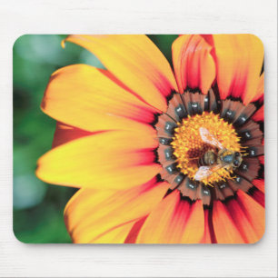 Extreme Close-Up Of A Bee Collecting Pollen Mouse Pad