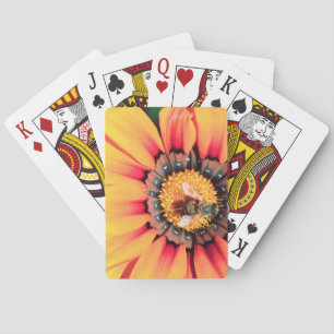 Extreme Close-Up Of A Bee Collecting Pollen Playing Cards