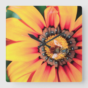 Extreme Close-Up Of A Bee Collecting Pollen Square Wall Clock