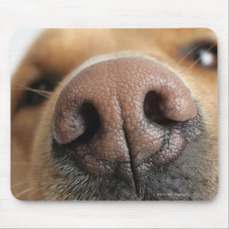 Extreme close-up of a dog nose. mouse pad