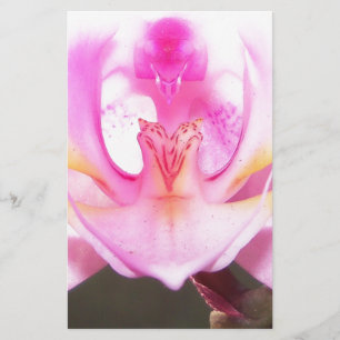 extreme close up of the inside of an orchid flower stationery