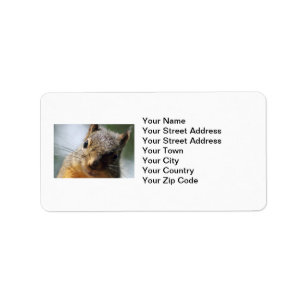 Extreme Closeup Squirrel Picture Label