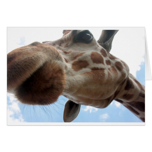 Extreme Giraffe (Front Horizontal)