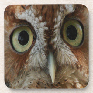 Extreme Owl Coaster