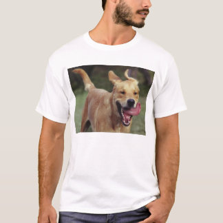 Exuberance T-Shirt