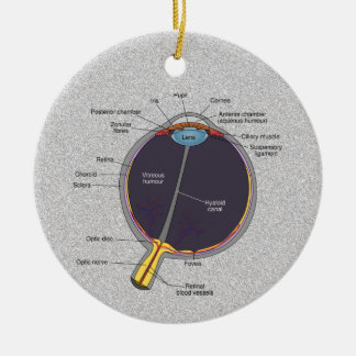 Eye Anatomy Ornament