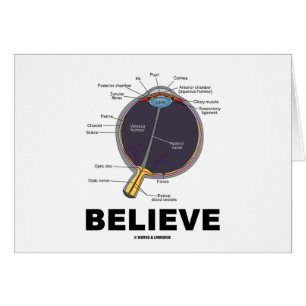 Eye Believe (Anatomical Humour)