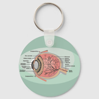 Eye Diagram for National Eye Care Month Keychain