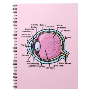 Eye Diagram Notebook