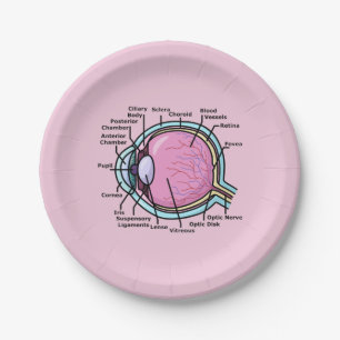 Eye Diagram Paper Plate
