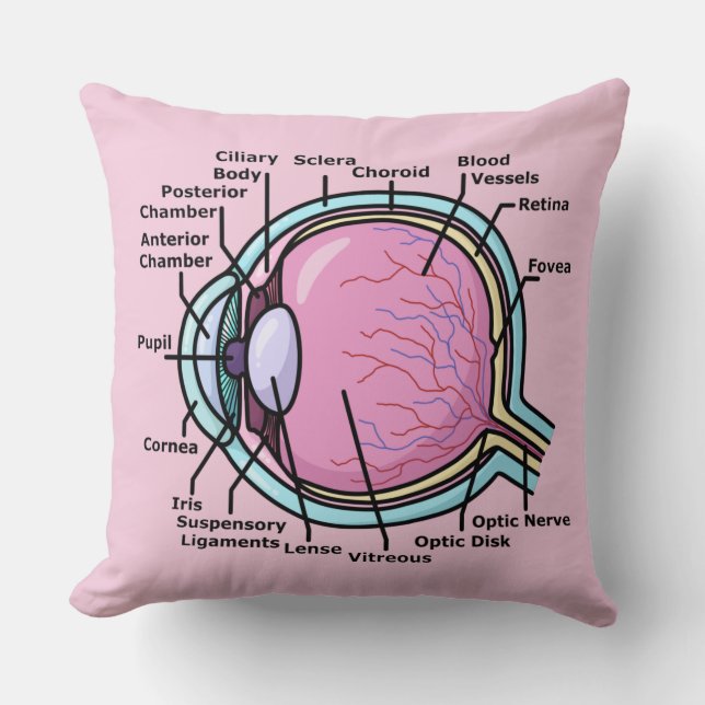 Eye Diagram Throw Pillow (Front)