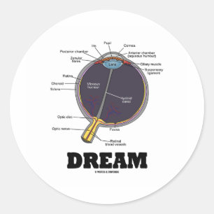 Eye (I) Dream (Anatomical Human Eyeball) Classic Round Sticker