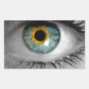 Eye looks to viewer concept macro sticker