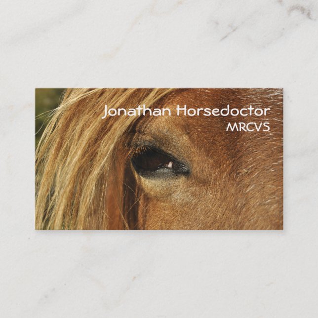 Eye of a horse business card (Front)