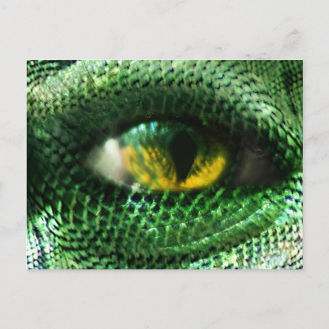 Eye of a.. postcard (Front)