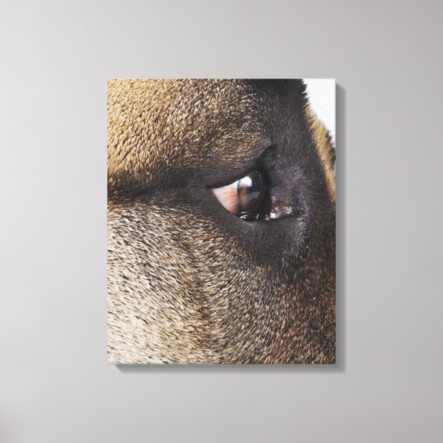 Eye of Great Dane Canvas Print (Front)
