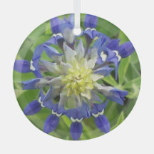 Eye of Texas Bluebonnet Ornament