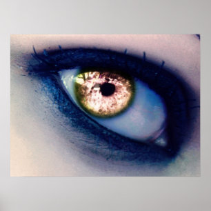 Eye Of the Beholder Poster