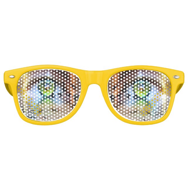 Eye of the beholder sunglasses (Front)