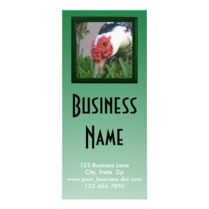 Eye of the Duck Close-Up Photo Business Template Rack Card