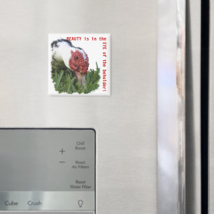 Eye of the Duck Close-Up Photograph Magnet