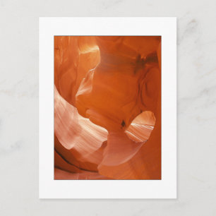 "Eye Of The Eagle" Postcard