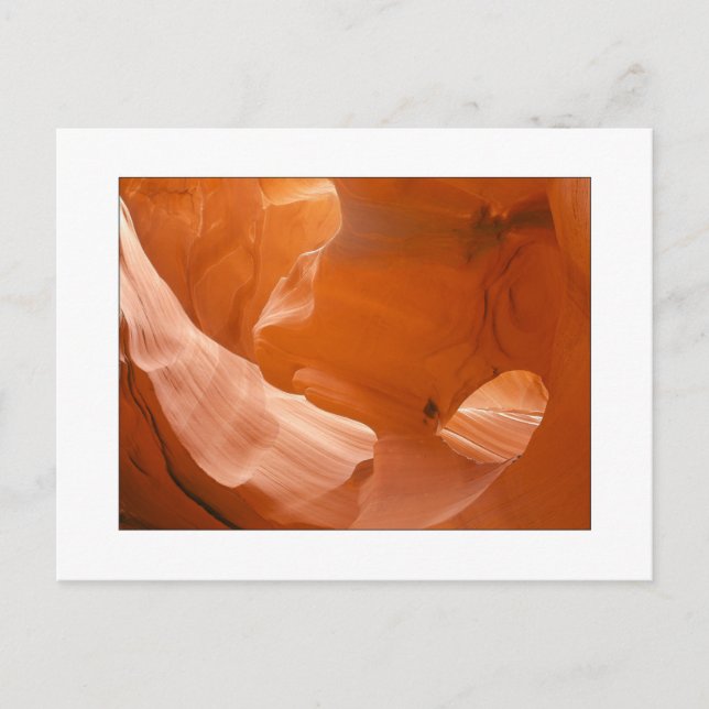 "Eye Of The Eagle" Postcard (Front)