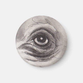 Eye of the Hippo – Gaze Collection Magnet