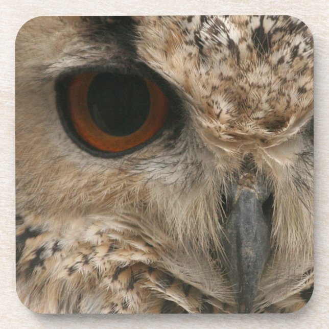 Eye of the Owl Coaster (Front)