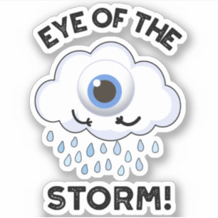 Eye Of The Storm Funny Weather Pun 