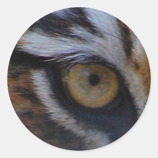Eye of the tiger classic round sticker (Front)