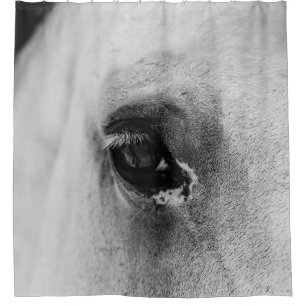 EYE OF THE WHITE HORSE