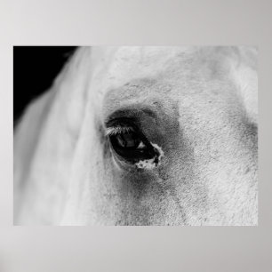 EYE OF THE WHITE HORSE POSTER